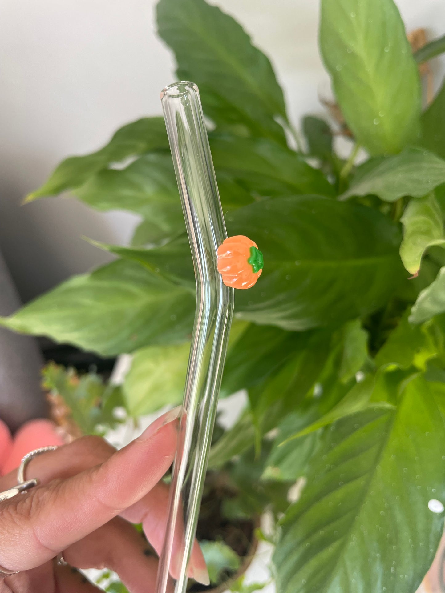 Pumpkin Glass Straw