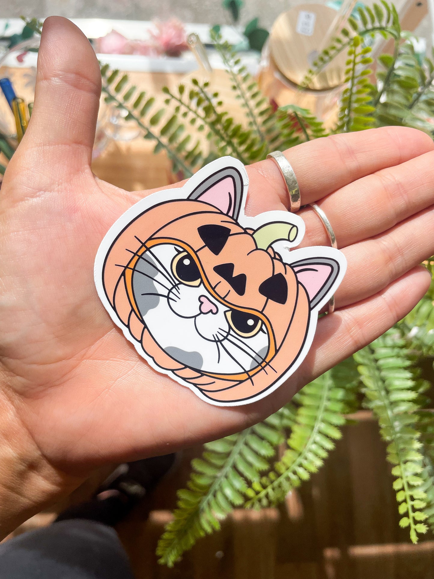 Grey Bicolour Pumpkin Cat Sparkly Sticker